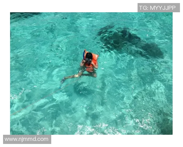 足球明星与鲨鱼的奇妙邂逅揭秘养鲨鱼全过程视频分享