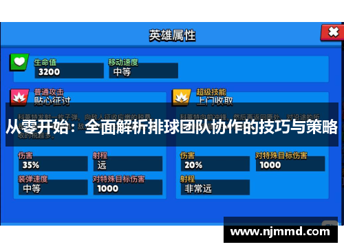 从零开始：全面解析排球团队协作的技巧与策略