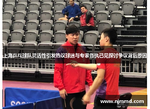 上海乒乓球队灵活性引发热议球迷与专家各执己见探讨争议背后原因